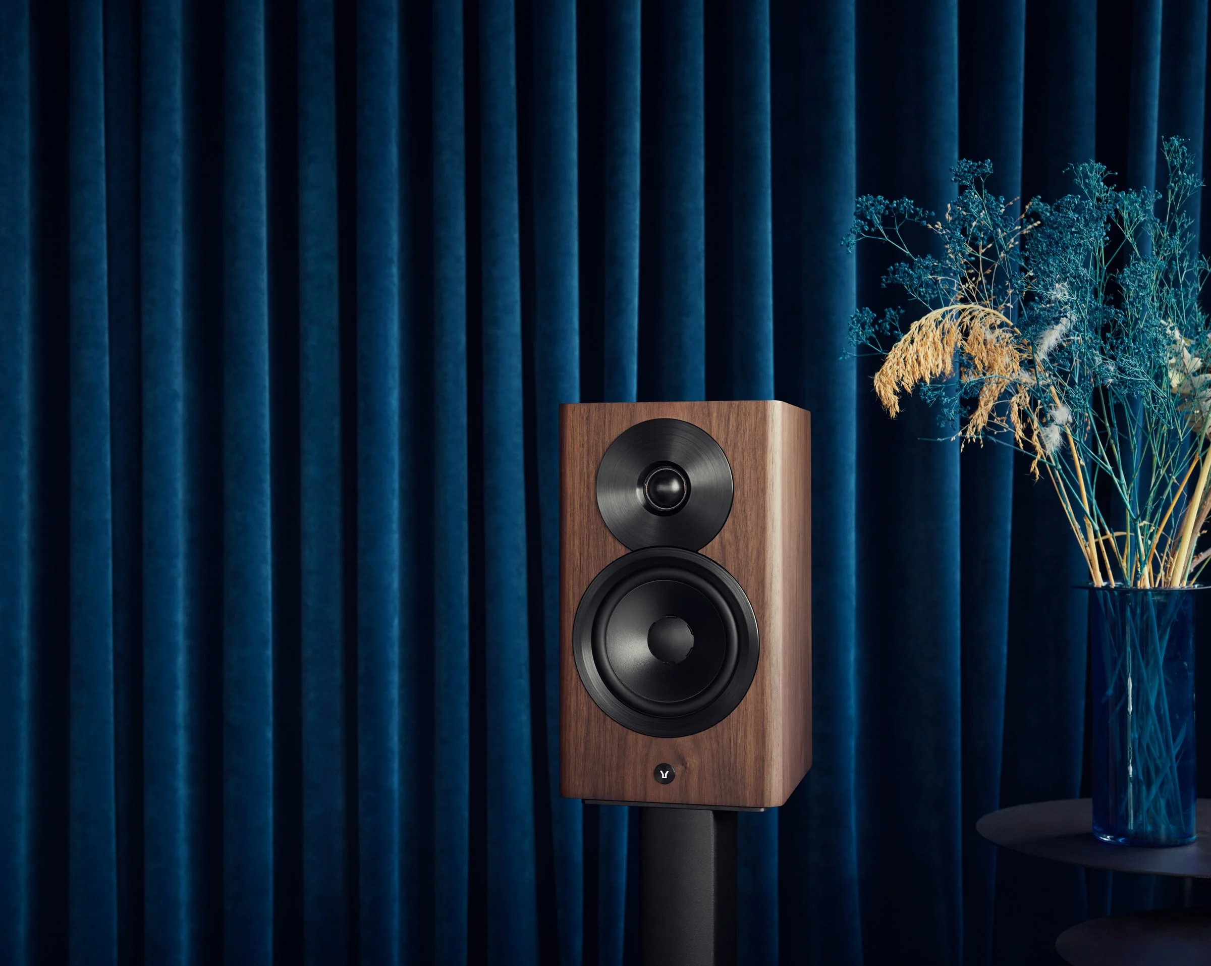 DynaudioFocus10_Walnut_01