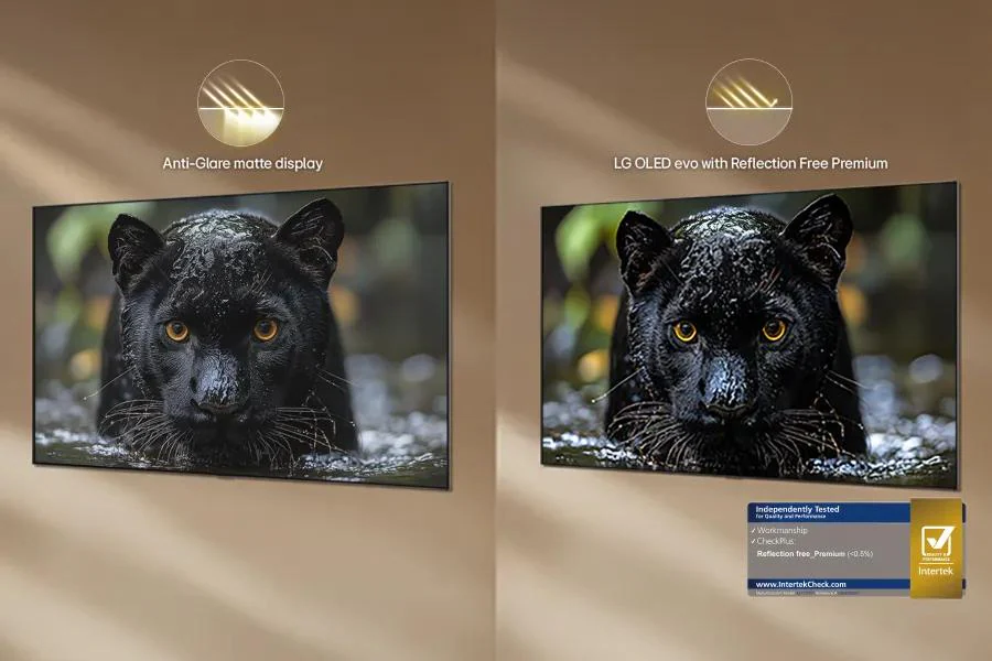 Reflection Free Premium