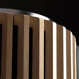 Напольная акустика Bang & Olufsen Beolab 28 Black Anthracite/Smoked Oak