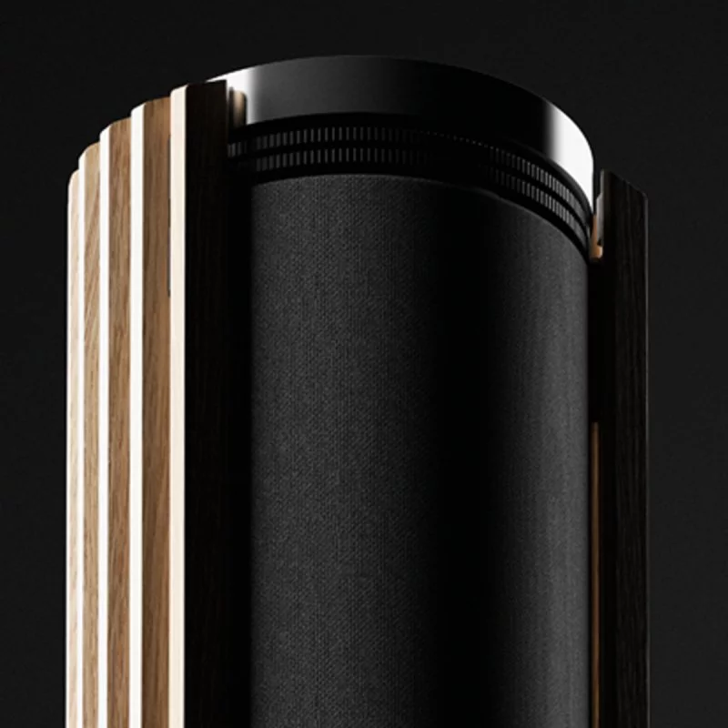 Напольная акустика Bang & Olufsen Beolab 28 Black Anthracite/Smoked Oak