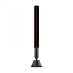 Напольная акустика Bang & Olufsen Beolab 28 Black Anthracite/Dark Oak