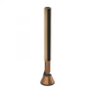 Напольная акустика Bang & Olufsen Beolab 28 Bronze Tone/Light Oak