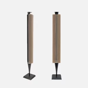 Напольная акустика Bang & Olufsen Beolab 18 Black/Light Oak