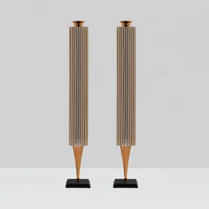 Напольная акустика Bang & Olufsen Beolab 18 Bronze Tone/Light Oak