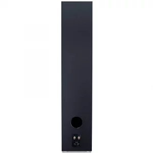 Напольная акустика Canton GLE 100 black