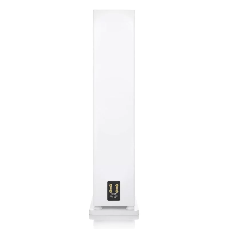 Напольная акустика Canton Townus 100 White Matt