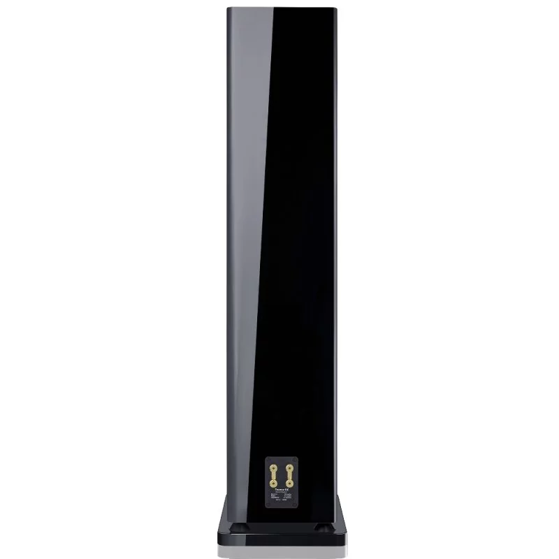 Напольная акустика Canton Townus 100 Black High Gloss