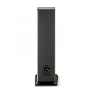 Напольная акустика Focal ARIA EVO X N4 Prime Walnut