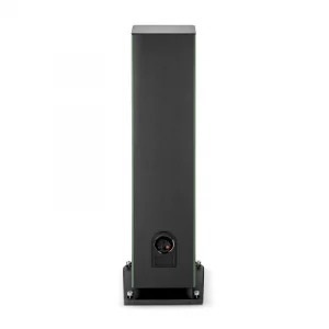 Напольная акустика Focal ARIA EVO X N4 Moss High Gloss