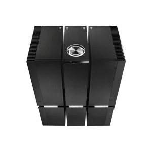 Усилитель мощности Naim Statement NAP S1 L