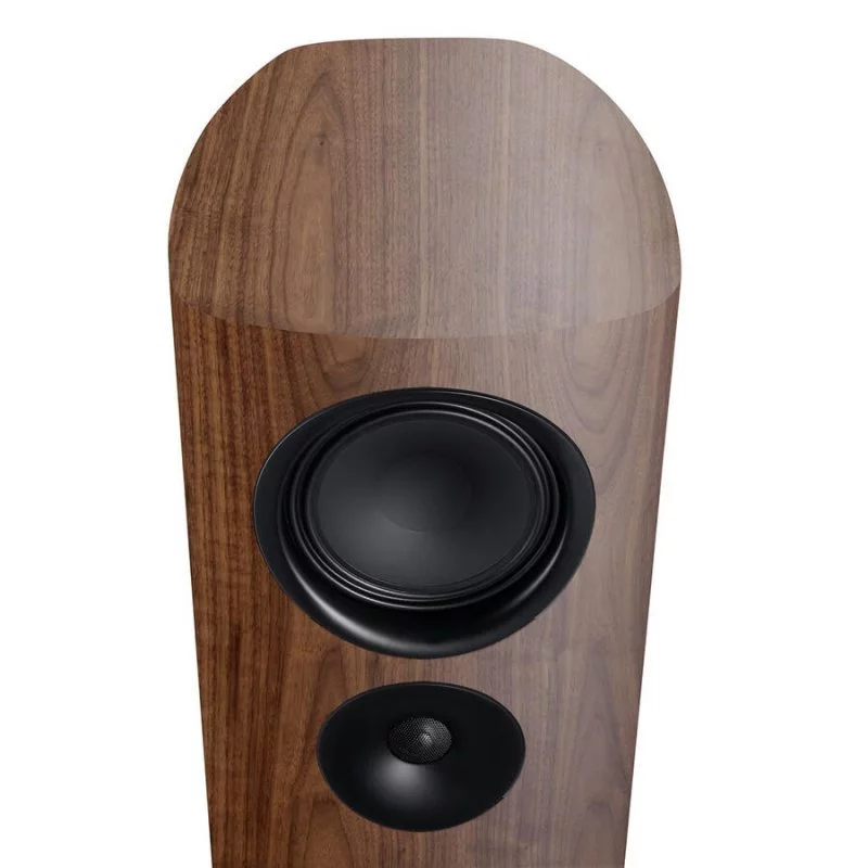 Напольная акустика Canton Reference 5 walnut matt