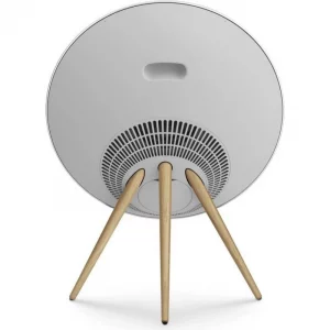 Bang & Olufsen Beosound A9 5th Generation Natural Aluminium