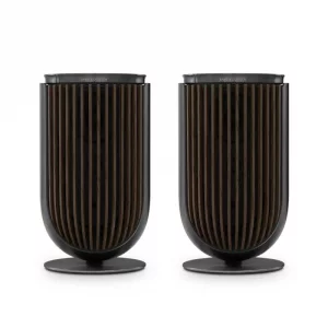 Полочная акустика Bang & Olufsen Beolab 8 Black Anthracite/Dark Oak