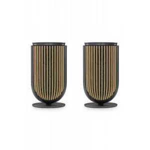 Полочная акустика Bang & Olufsen Beolab 8 Black Anthracite/Oak
