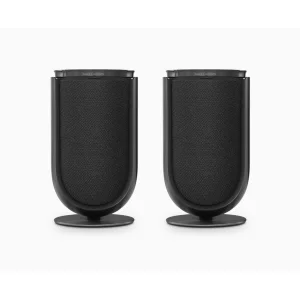 Полочная акустика Bang & Olufsen Beolab 8 Black Anthracite/Fabric