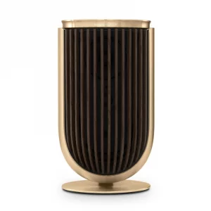 Полочная акустика Bang & Olufsen Beolab 8 Gold Tone/Dark Oak