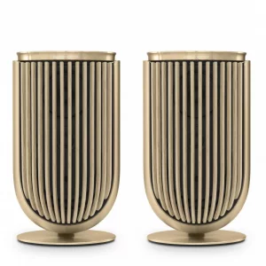 Полочная акустика Bang & Olufsen Beolab 8 Gold Tone/Oak