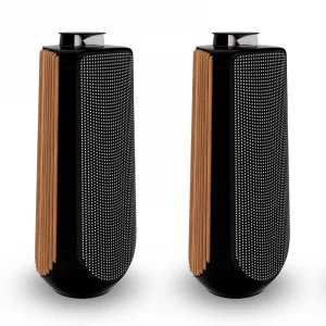 Напольная акустика Bang & Olufsen Beolab 50 Piano Black, Aluminium Cover / Oak Side Panel