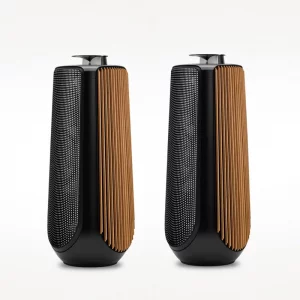 Напольная акустика Bang & Olufsen Beolab 50 Piano Black, Aluminium Cover / Oak Side Panel