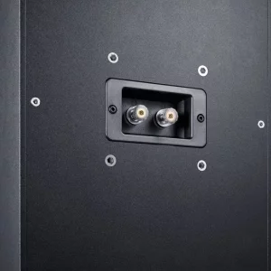 Настенная акустика Canton Atelier 9 On Wall black matt