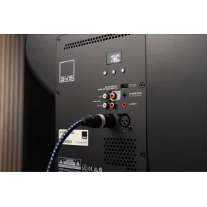 Сабвуфер SVS SB-3000 R|Evolution Black Ash