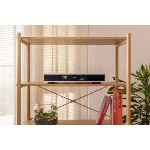 ЦАП Canor Audio Verto D4S Silver