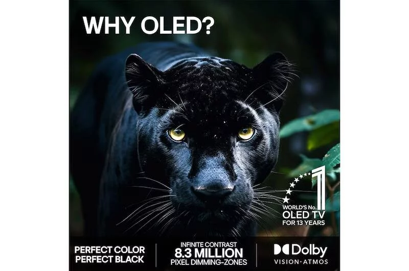 Телевизор LG OLED48B6RLA