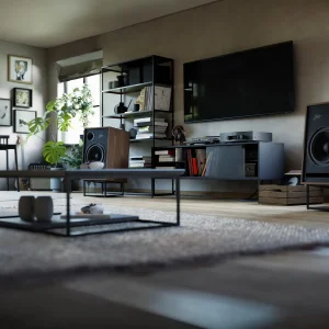 Интегральный усилитель Hegel H190v Black