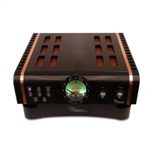 Интегральный усилитель Dan D&rsquo;Agostino Momentum MxV Integrated Amplifier Black