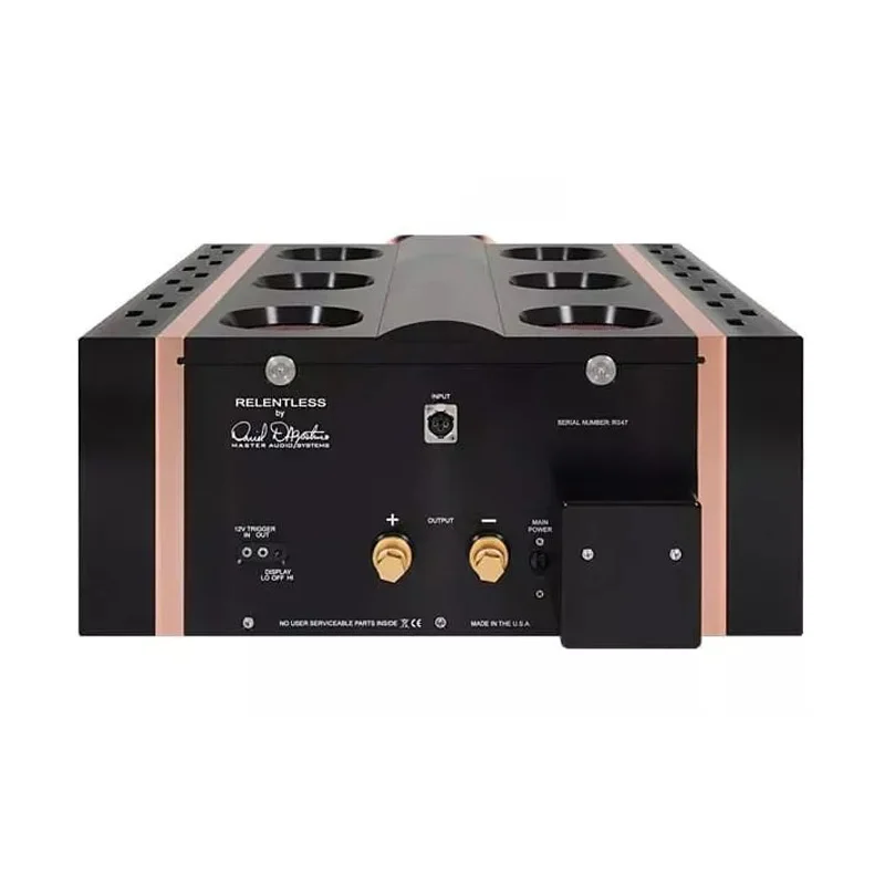 Усилитель мощности Dan D&rsquo;Agostino Relentless 800 Mono Amplifier Black