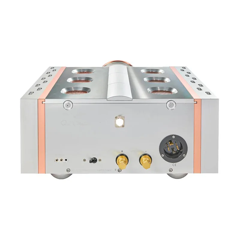 Усилитель мощности Dan D&rsquo;Agostino Relentless 800 Mono Amplifier Silver