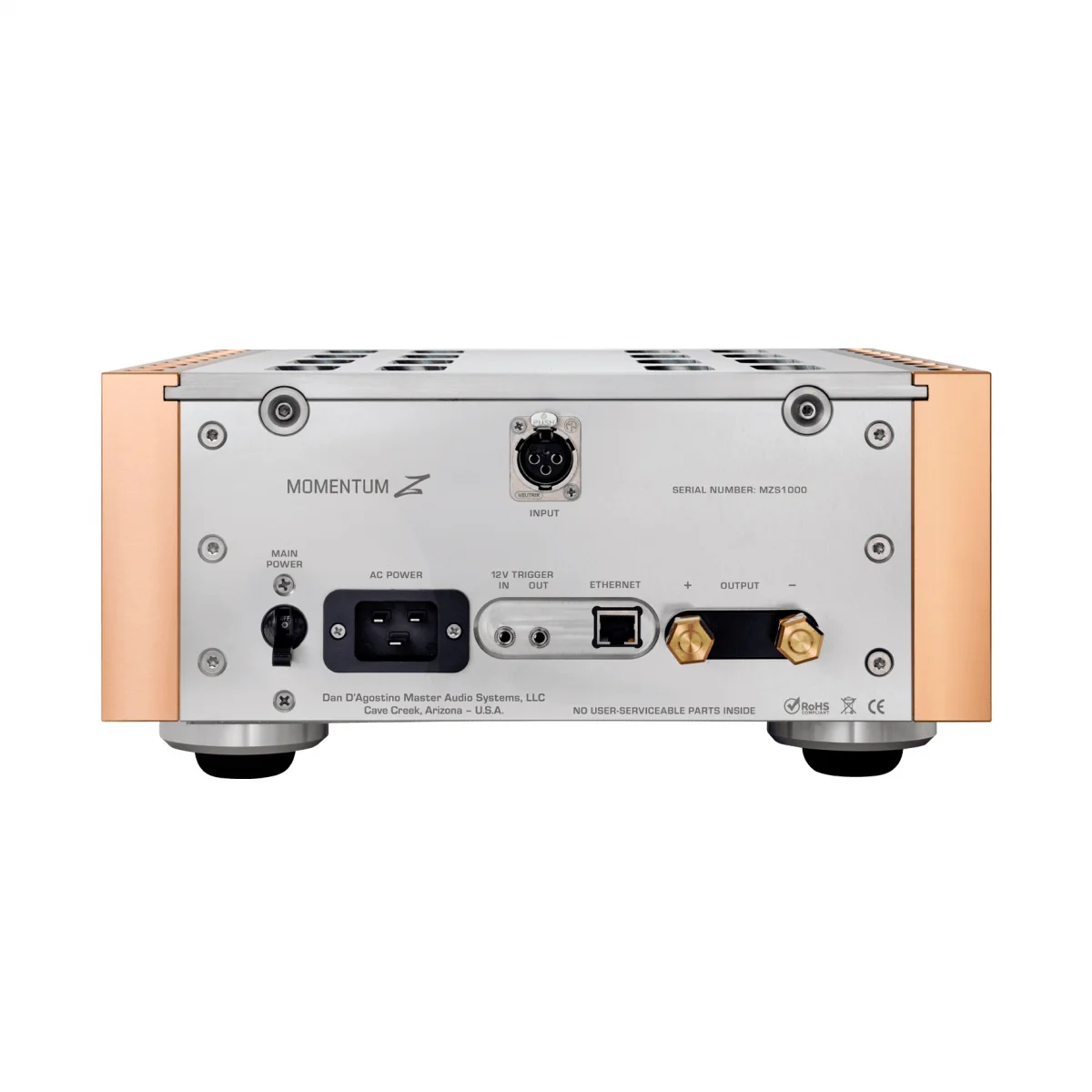 Усилитель мощности Dan D&rsquo;Agostino Momentum Z Monoblock Amplifier Silver