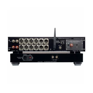 Предусилитель Dan D&rsquo;Agostino Progression Preamplifier DAC Black