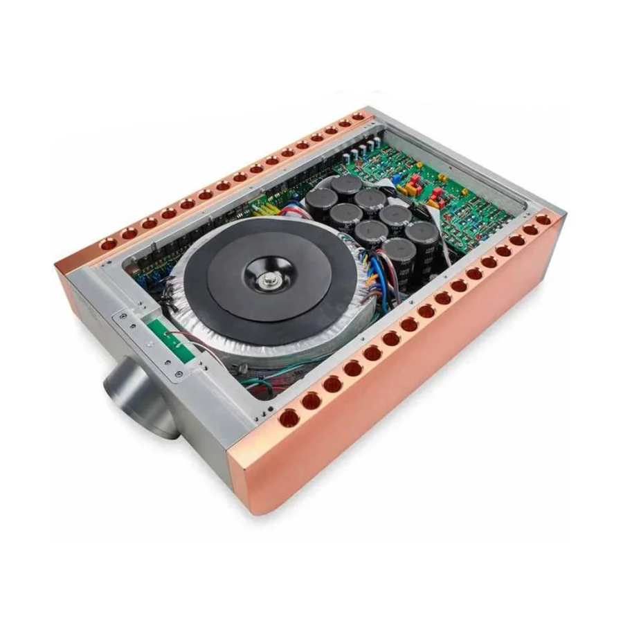 Усилитель мощности Dan D&rsquo;Agostino Momentum S250 MxV Stereo Amplifier Silver