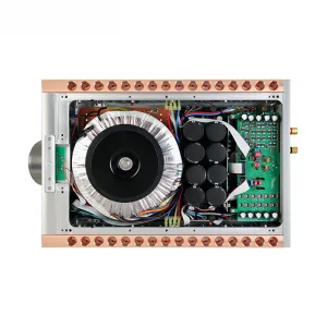 Усилитель мощности Dan D&rsquo;Agostino Momentum M400 MxV Mono Amplifier Silver