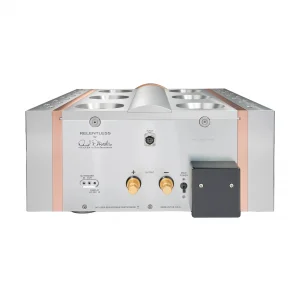 Усилитель мощности Dan D&rsquo;Agostino Relentless Epic 1600 Mono Amplifier Silver
