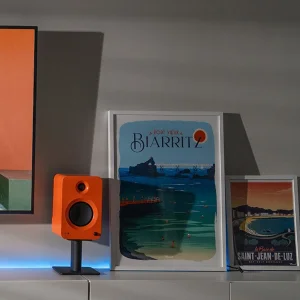 Активная HI-Fi акустика Kanto Ren Matte Orange