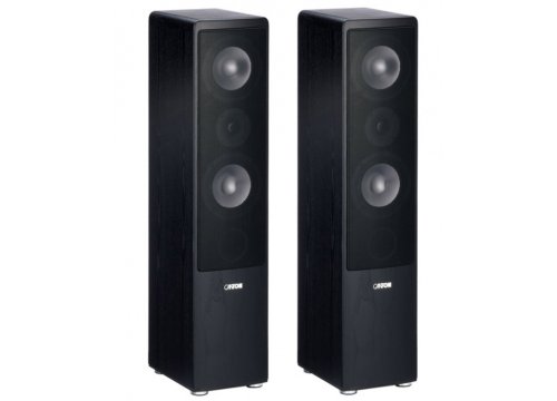 Напольная акустика Canton Ergo 670 black