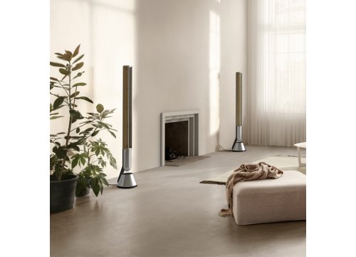 Напольная акустика Bang & Olufsen Beolab 28 Black Anthracite/Golden