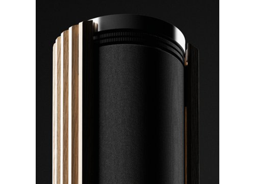 Напольная акустика Bang & Olufsen Beolab 28 Black Anthracite/Golden