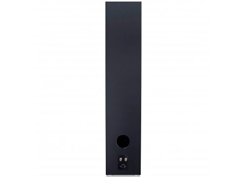 Напольная акустика Canton GLE 100 black