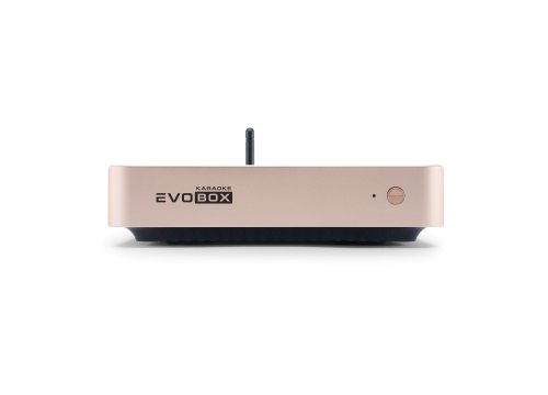 Караоке-система Evolution EVOBOX Classic Gold