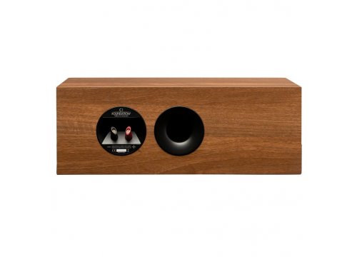 Центральный канал Martin Logan Motion Foundation C1 Walnut