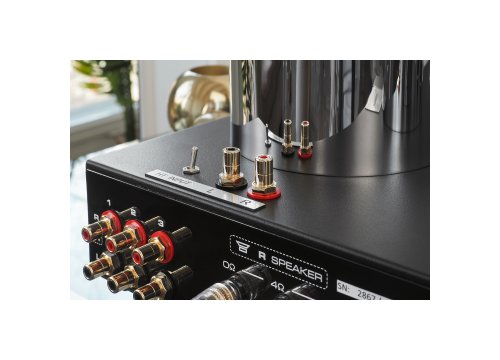 Интегральный усилитель Fezz Audio Mira Ceti 300b Black Ice
