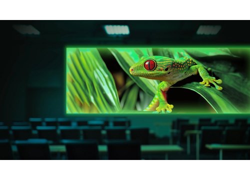 Светодиодный экран Geckotouch 116" P2.5