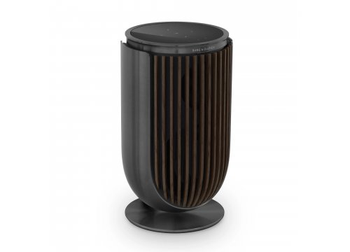 Полочная акустика Bang & Olufsen Beolab 8 Black Anthracite/Dark Oak