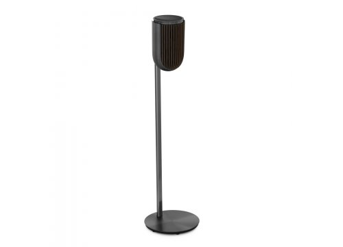Полочная акустика Bang & Olufsen Beolab 8 Black Anthracite/Dark Oak
