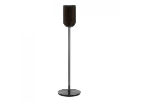 Полочная акустика Bang & Olufsen Beolab 8 Black Anthracite/Dark Oak