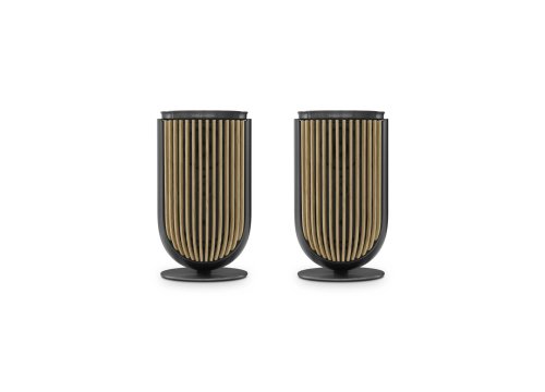 Полочная акустика Bang & Olufsen Beolab 8 Black Anthracite/Light Oak