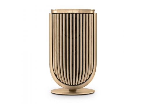 Полочная акустика Bang & Olufsen Beolab 8 Gold Tone/Light Oak